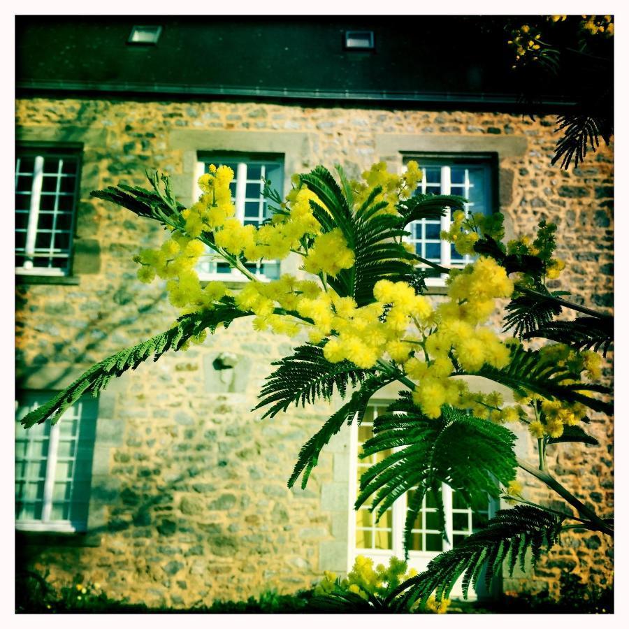 Bed and Breakfast Manoir De La Grand'Cour Soulgé-sur-ouette Exterior foto